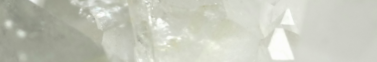lic